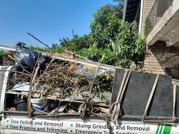 Best Hoarding Cleanup  in Murray, UT